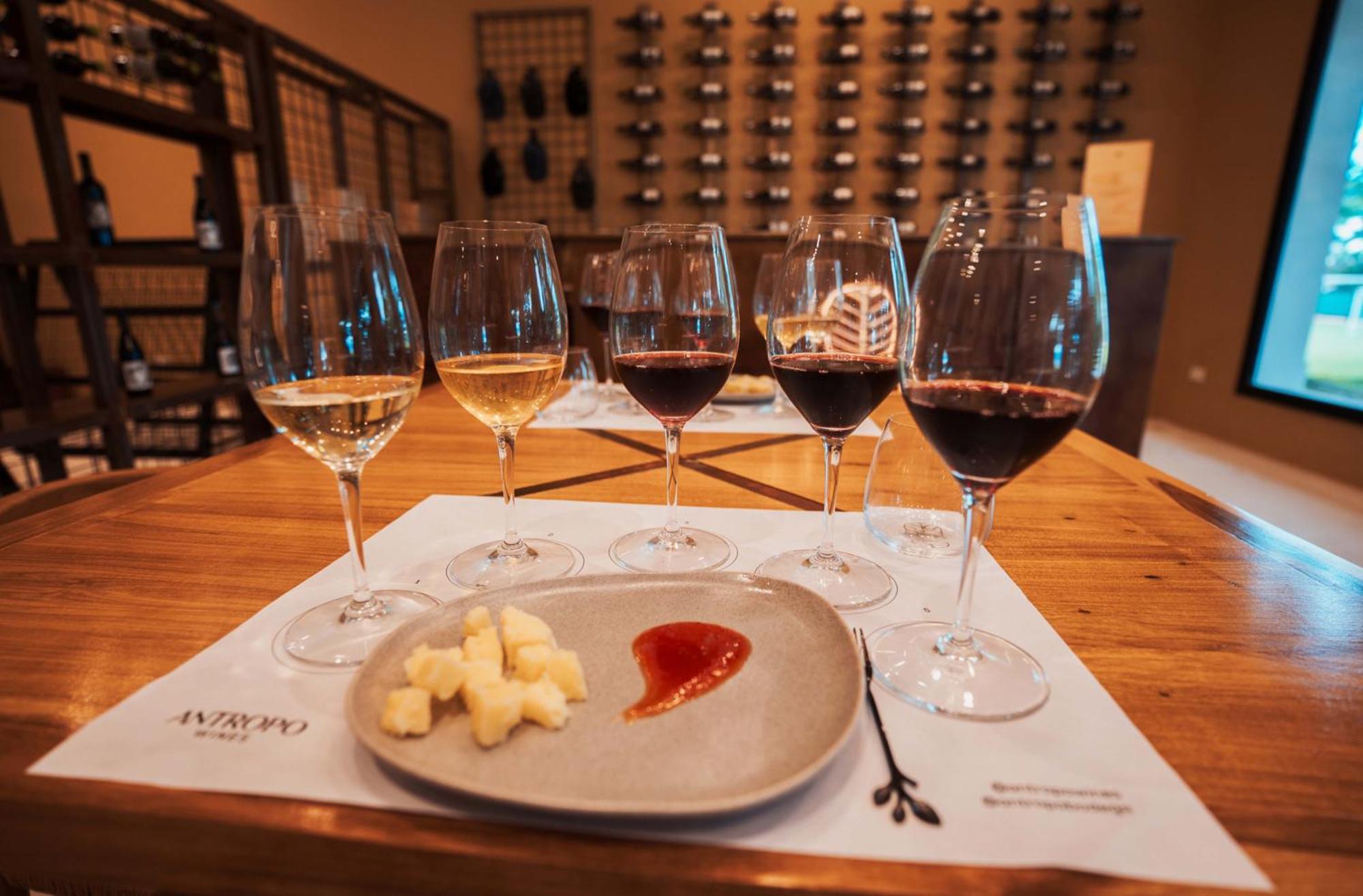 Altos De La Vina, Wine Hotel & Spa San Salvador de Jujuy Exteriör bild